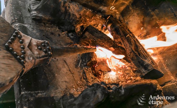 Ferienhaus Vielsalm 6 Pers. Ardennen
