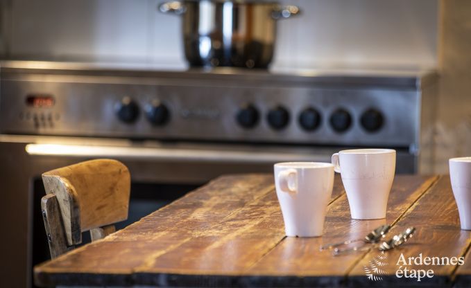 Ferienhaus Vielsalm 14 Pers. Ardennen