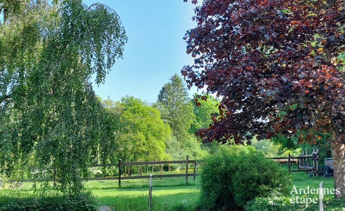 Ferienhaus Vielsalm 4/5 Pers. Ardennen