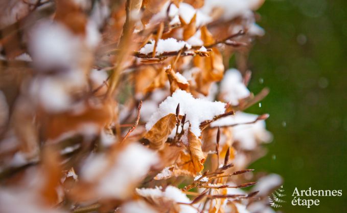 Ferienhaus Vielsalm 4/5 Pers. Ardennen