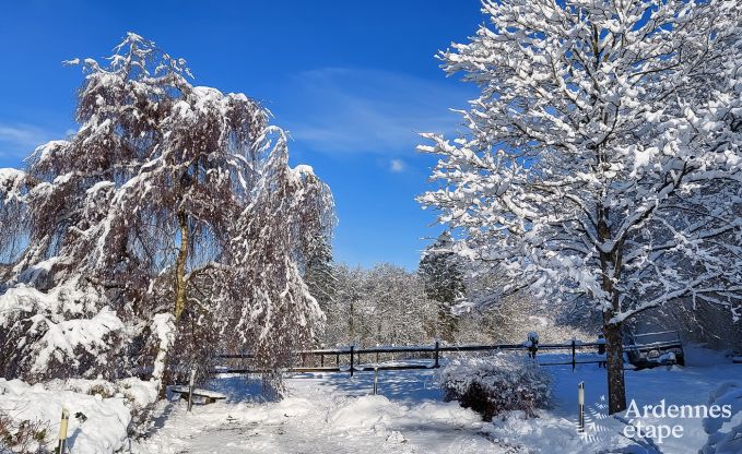 Ferienhaus Vielsalm 4/5 Pers. Ardennen