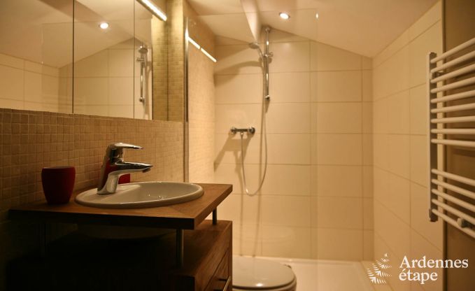 Ferienhaus Vielsalm 3 Pers. Ardennen