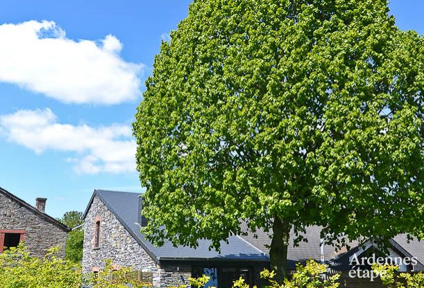 Ferienhaus Vielsalm 2 Pers. Ardennen