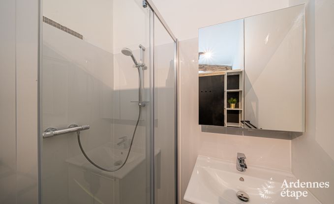 Ferienhaus Vielsalm 9 Pers. Ardennen