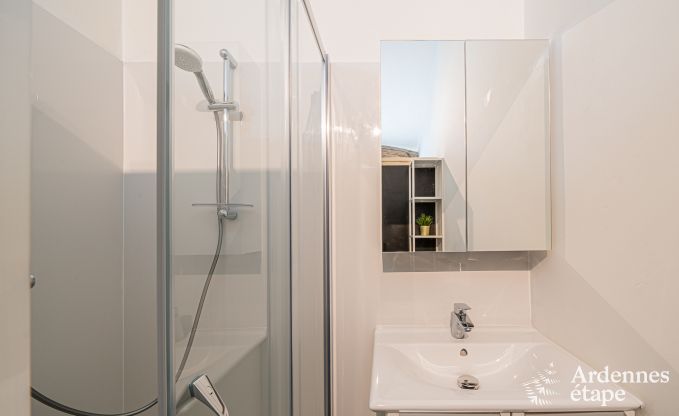 Ferienhaus Vielsalm 9 Pers. Ardennen