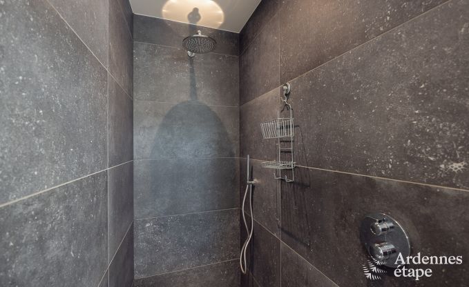 Ferienhaus f�r 9 Personen in Vielsalm, Ardennen