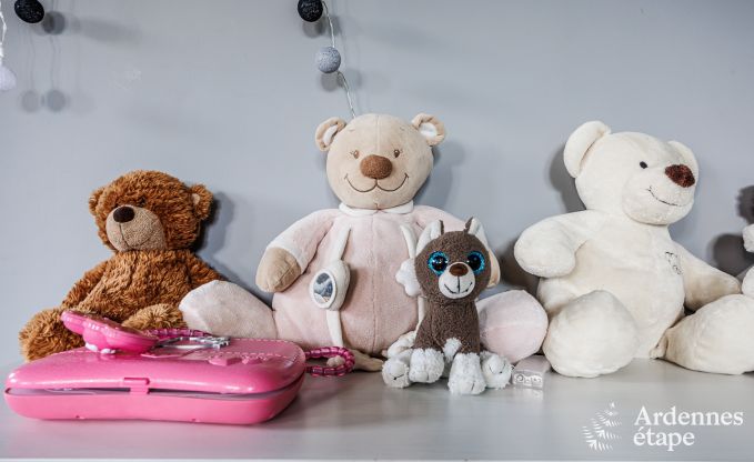 Ferienhaus Vielsalm 20 Pers. Ardennen Wellness