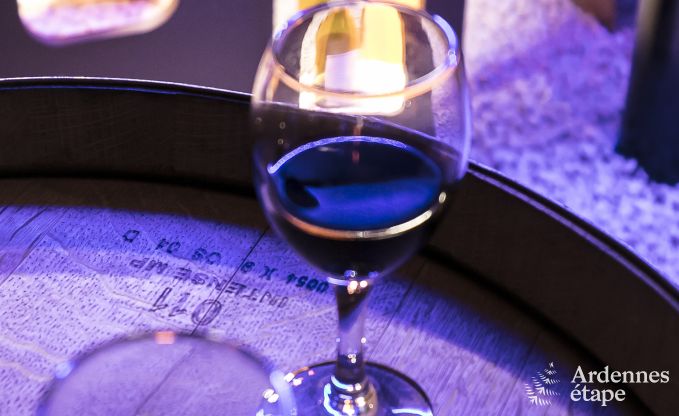 Ferienhaus Vielsalm 30 Pers. Ardennen Schwimmbad Wellness Behinderten gerecht