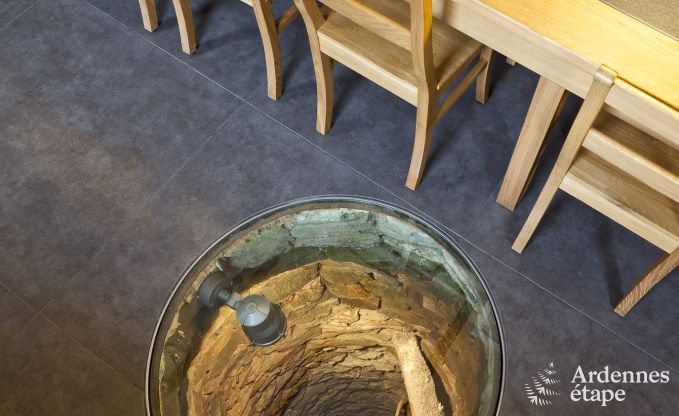 Ferienhaus Vielsalm 22 Pers. Ardennen Wellness Behinderten gerecht