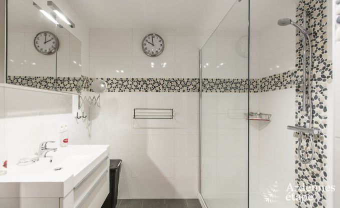 Ferienhaus Vielsalm 12 Pers. Ardennen Wellness