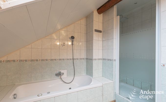 Ferienhaus Vielsalm 12 Pers. Ardennen Wellness