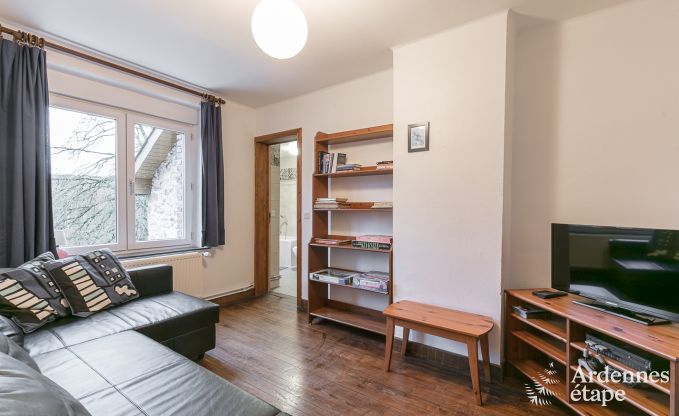 Ferienhaus Vielsalm 12 Pers. Ardennen Wellness