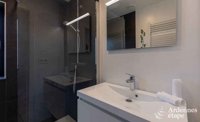 Ferienhaus Vielsalm 14 Pers. Ardennen Wellness