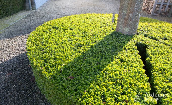 Ferienhaus Vielsalm 9 Pers. Ardennen Schwimmbad Wellness