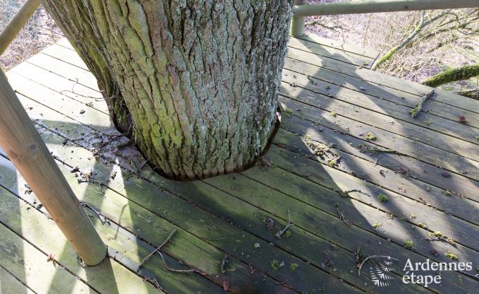 Ferienhaus Vielsalm 9 Pers. Ardennen Schwimmbad Wellness