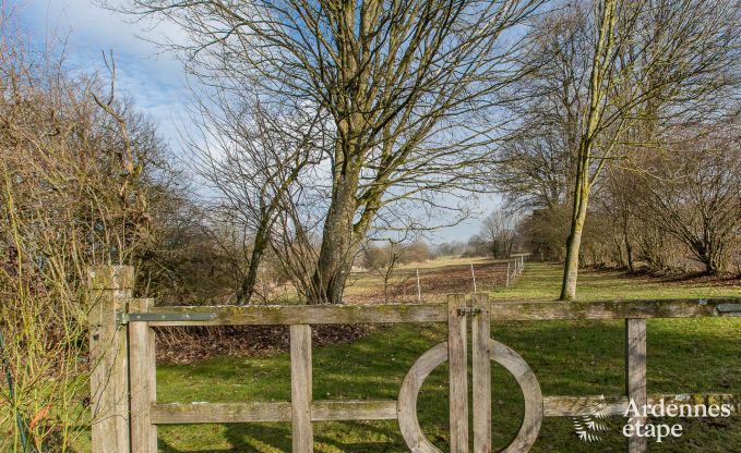 Ferienhaus Vielsalm 9 Pers. Ardennen Schwimmbad Wellness