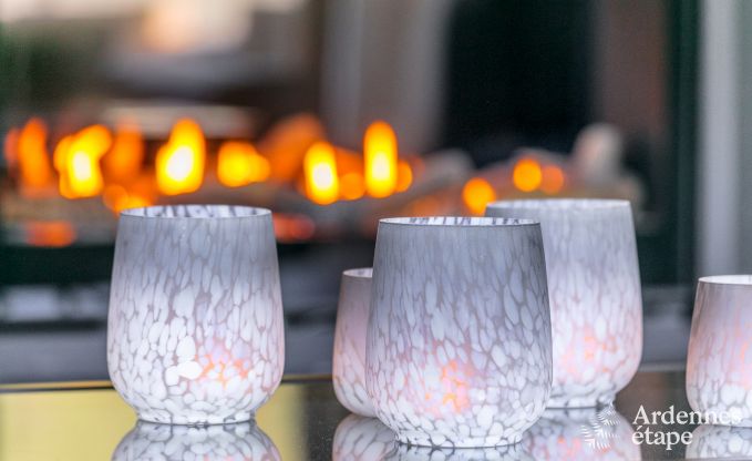 Luxusvilla Vielsalm 12 Pers. Ardennen Wellness