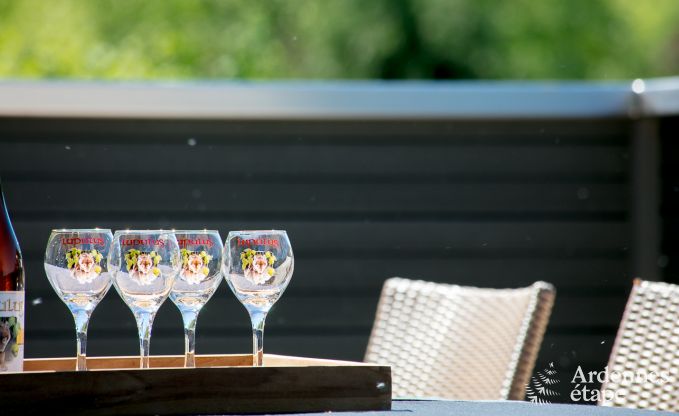 Luxusvilla Vielsalm 12 Pers. Ardennen Wellness