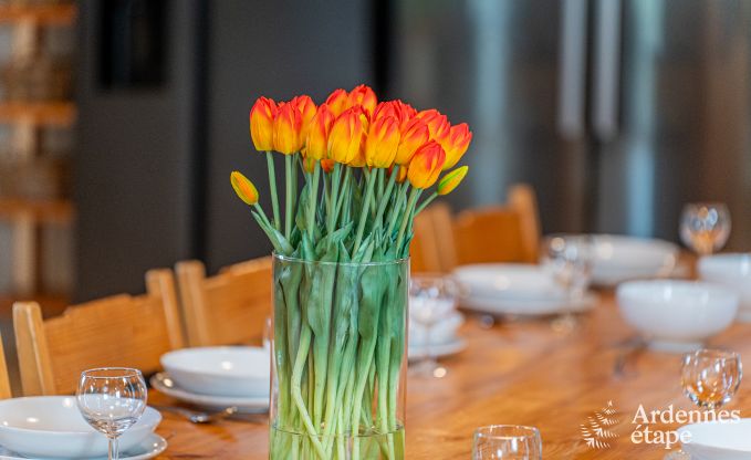 Wunderschne Villa Vielsalm 26 Pers. Ardennen Schwimmbad Wellness