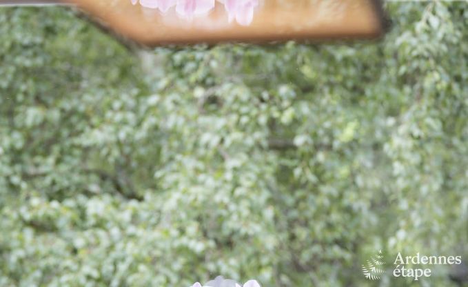 Luxusvilla Vielsalm 21 Pers. Ardennen Schwimmbad Wellness