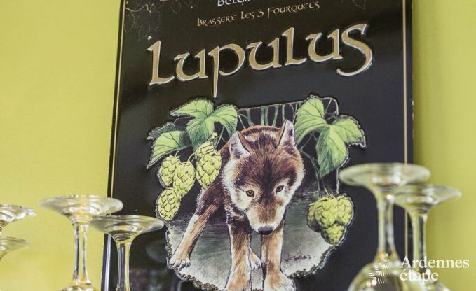 Luxusvilla Vielsalm 21 Pers. Ardennen Schwimmbad Wellness