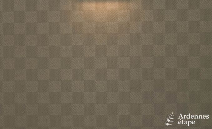 Luxusvilla Vielsalm 21 Pers. Ardennen Schwimmbad Wellness