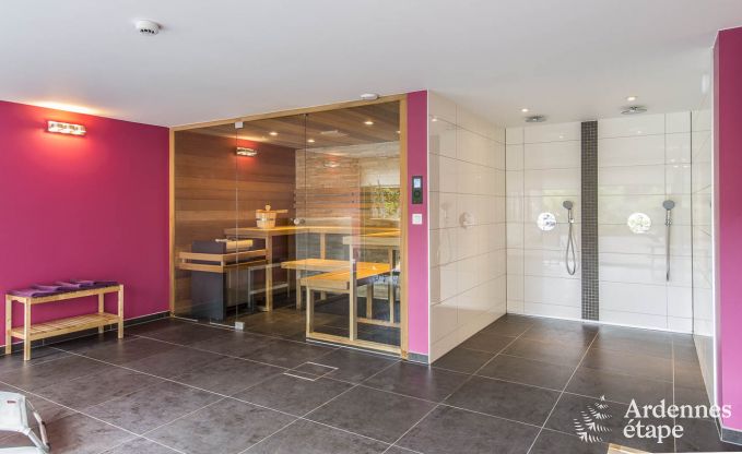 Luxusvilla Vielsalm 21 Pers. Ardennen Schwimmbad Wellness