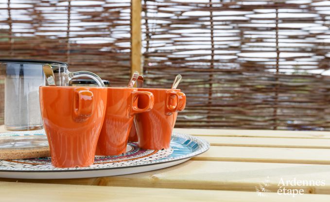 au�ergew�hnliche Ferienwohnung Vielsalm 2/3 Pers. Ardennen Wellness