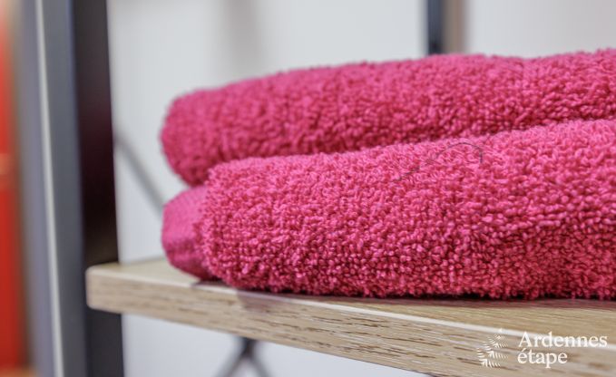 Ferienhaus Vierves-sur-Viroin 18/20 Pers. Ardennen Wellness