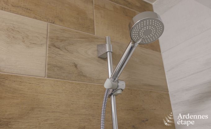 Ferienhaus Vierves-sur-Viroin 18/20 Pers. Ardennen Wellness