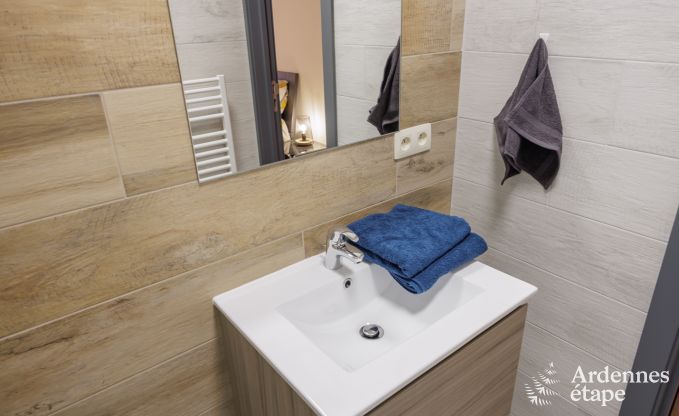 Ferienhaus Vierves-sur-Viroin 18/20 Pers. Ardennen Wellness