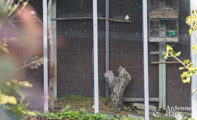 Charmantes Ferienhaus mit Pool und privatem Garten f�r 4 Personen im mittelalterlichen Dorf Vierves-sur-Viroin