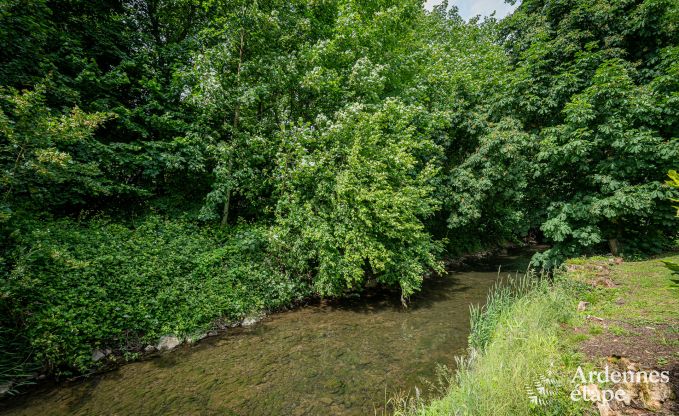 Luxuris eingerichtetes Ferienhaus in Virelles fr 9 Personen mit offenem Kamin