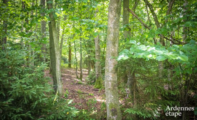 Chalet Viroinval 6 Pers. Ardennen