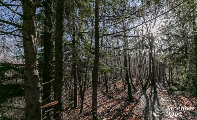 Chalet Viroinval 2/4 Pers. Ardennen Wellness