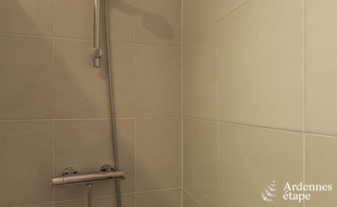 Chalet Viroinval 6 Pers. Ardennen Wellness