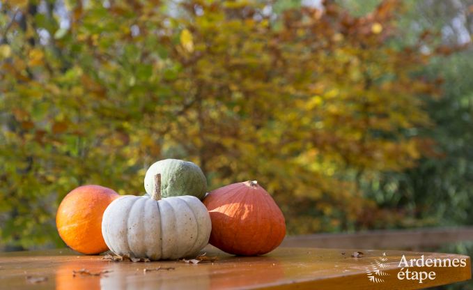 Chalet Viroinval 6 Pers. Ardennen Wellness