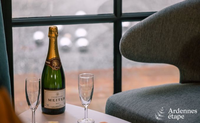 Unvergesslicher Aufenthalt in Viroinval: Komfortables Chalet in den Ardennen f�r 4 Personen mit Sauna und nordischem Bad