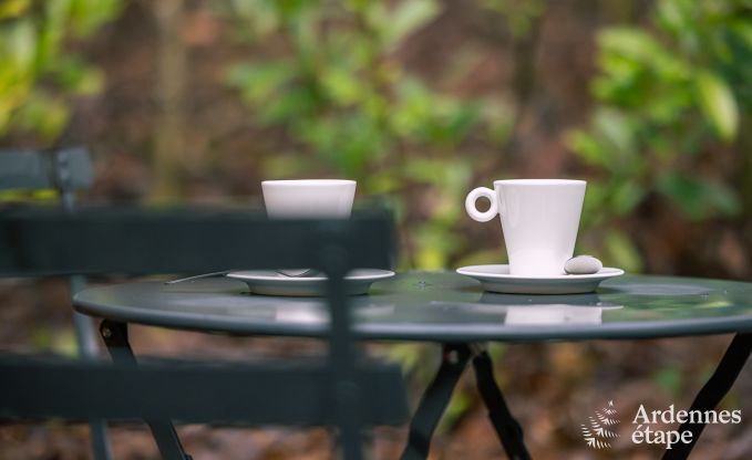 Unvergesslicher Aufenthalt in Viroinval: Komfortables Chalet in den Ardennen f�r 4 Personen mit Sauna und nordischem Bad