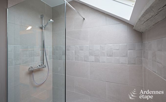 Ferienhaus Viroinval 15 Pers. Ardennen Wellness