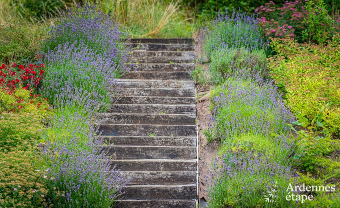 Wundersch�nes Ferienhaus in Virton, Ardennen