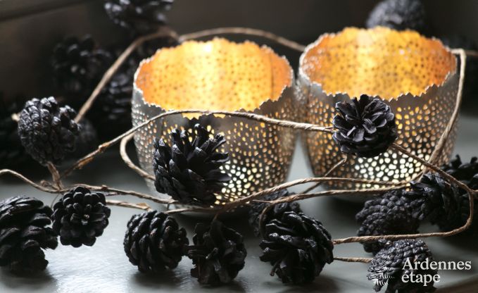 Ferienhaus Virton 4 Pers. Ardennen