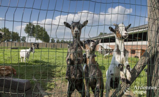 Ferienhaus Voeren 8/10 Pers. Ardennen