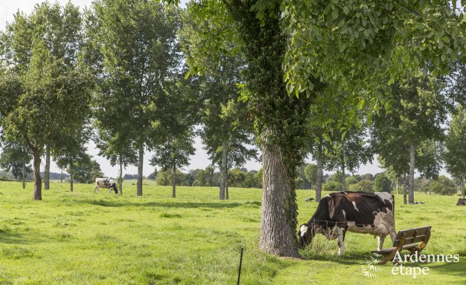 Ferienhaus Voeren 6/8 Pers. Ardennen