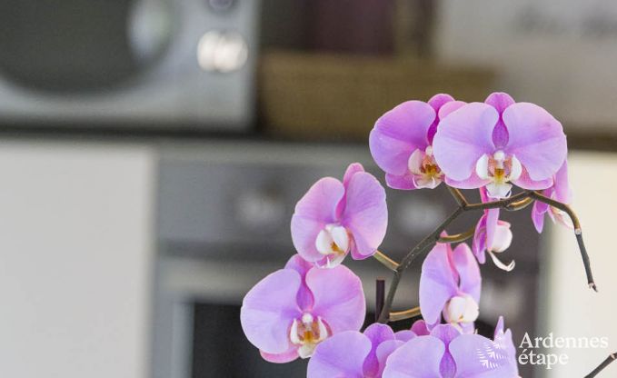 Ferienhaus Voeren 6/8 Pers. Ardennen