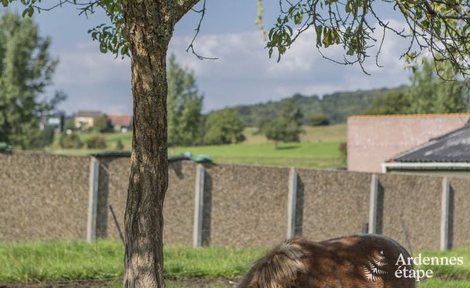 Ferienhaus Voeren 8/10 Pers. Ardennen