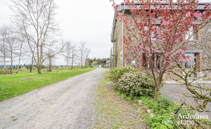 Familienferienhaus mit Sauna in Vresse-Sur-Semois, Ardennen