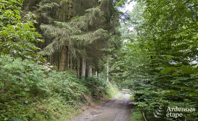 Chalet Vresse-sur-Semois 9 Pers. Ardennen