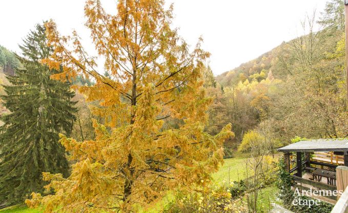 Ferienhaus Vresse-sur-Semois 9 Pers. Ardennen