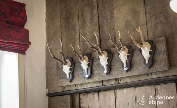 Ferienhaus Vresse-sur-Semois 13/14 Pers. Ardennen